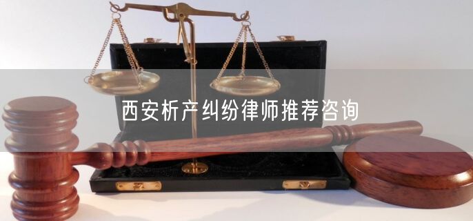 西安析产纠纷律师推荐咨询