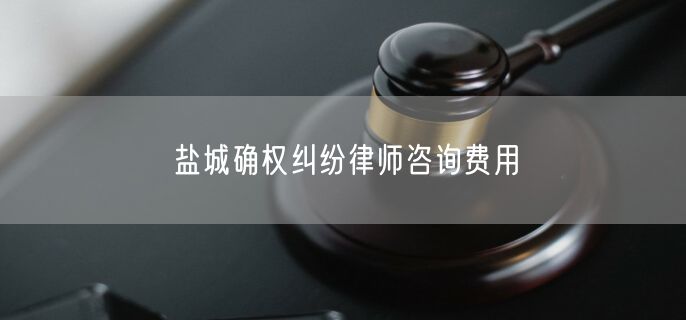 盐城确权纠纷律师咨询费用