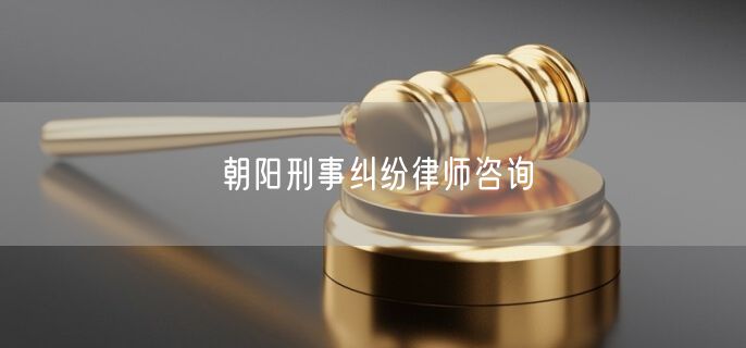 朝阳刑事纠纷律师咨询