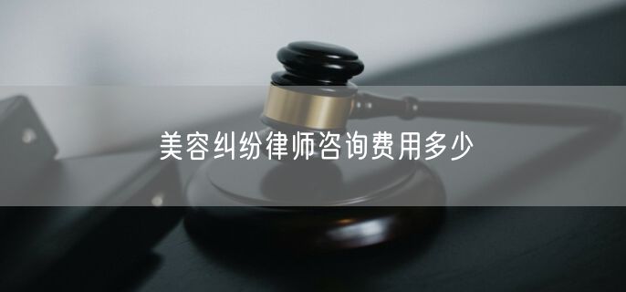 美容纠纷律师咨询费用多少