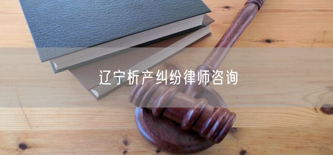 辽宁析产纠纷律师咨询