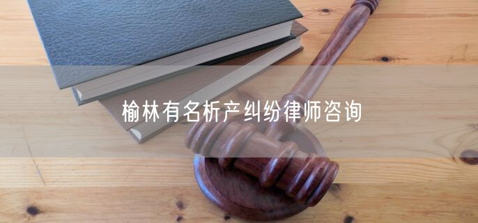 榆林有名析产纠纷律师咨询