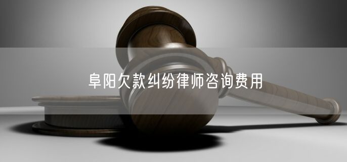 阜阳欠款纠纷律师咨询费用