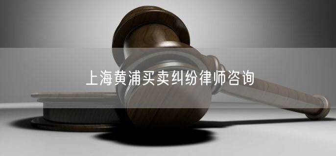 上海黄浦买卖纠纷律师咨询
