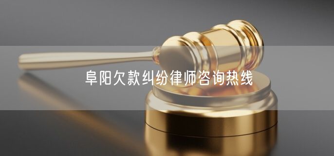 阜阳欠款纠纷律师咨询热线