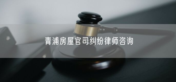 青浦房屋官司纠纷律师咨询