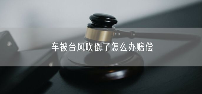 车被台风吹倒了怎么办赔偿